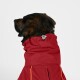 Regenmantel Duke Rot XS