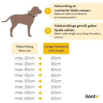 Diagramm, das eine Hundesilhouette mit Anweisungen zum Messen des Halsumfangs und zur Auswahl der Halsbandlänge zeigt, mit deutschem und englischem Text.