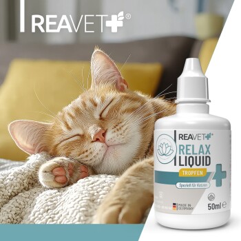 Schlafende orangefarbene Tigerkatze neben einer 50-ml-Flasche REAVET Relax Liquid Tropfen für Katzen, hergestellt in Deutschland.