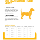 Zwei verspielte Hunde mit braunem und weißem Fell stehen auf einem Holzsteg am See und tragen bunte Geschirre und Leinen.