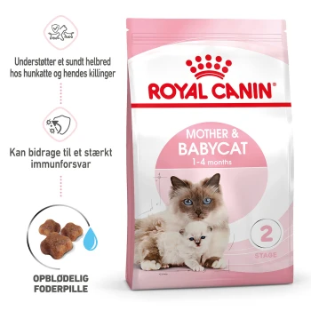Royal Canin Mother & Babycat Futtertüte, die eine Mutterkatze und ihr Kätzchen zeigt, mit Text, der Gesundheitsunterstützung und Immunabwehr hervorhebt.