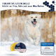 Pawlies Pfotenbalsam in einer runden Dose, der Schutz für die Pfoten von Haustieren gegen Hitze, Kälte und raue Oberflächen fördert, mit Schneeflocken im Hintergrund.