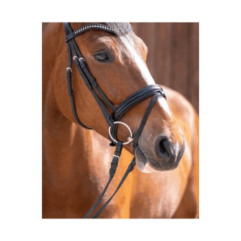 Nahaufnahme eines braunen Pferdes, das ein schwarzes Geschirr mit silbernen Details trägt, das sein ausdrucksvolles Auge und seine starken Merkmale zeigt.