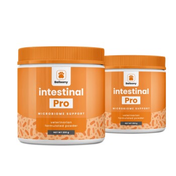 Darmpulver Intestinal Pro 400 g