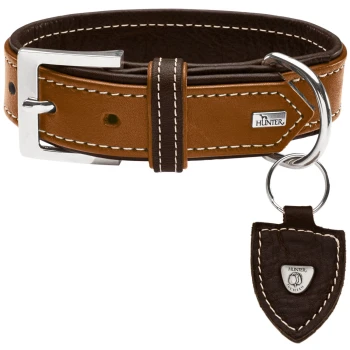 Brauner Lederhundehalsband mit einer silbernen Schnalle, mit weißer Naht und einem Metallschild mit der Aufschrift "HUNTER."