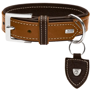 Brauner Lederhundehalsband mit einer silbernen Schnalle, mit weißer Naht und einem Metallschild mit der Aufschrift "HUNTER."