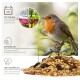 Ein europäischer Rotkehlchen auf einem Ast über Vogelfutter, mit dem Text: "Ganzjähriges Spezialfutter," "Ausgewogene Mischung," "100% natürlich."