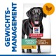 Schwarzer Labrador Retriever auf einem Hundefutterbeutel mit der Aufschrift 'Hill's Science Plan', mit 'Perfektes Gewicht & Aktive Mobilität' mit Huhn.