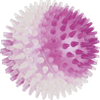 FIT+FUN Fit + Fun Leuchtnoppenball Hund 9 cm