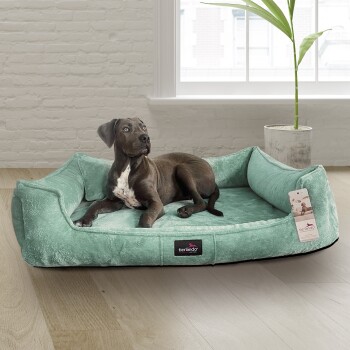 Ein braun-weißer Hund, der auf einem weichen, mintgrünen Haustierbett mit einem Etikett 'tierlando' in einem hellen Raum mit einer Pflanze entspannt.