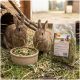 Ein grauer Hase schnüffelt an einer Schüssel mit Kräutermischung auf einem Bett aus Stroh, mit einer Verpackung mit der Aufschrift "Kräutermix" im Hintergrund.