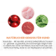 Natürliches Hundefutter mit Wild, Rind, Süßkartoffel, Cranberries und Spinat, getreide- und glutenfrei, von Experten empfohlen.