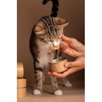 Getigerte Katze frisst Nassfutter aus der Hand einer Person, offene Kraftdose darunter gehalten, gestapelte Dosen links, brauner Hintergrund.