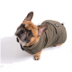 Ein Französischer Bulldogge, die einen stilvollen olivgrünen Hundemantel trägt, schaut mit einem neugierigen Ausdruck nach oben. Der Mantel hat eine Reißverschlusstasche und ein Logo-Patch.