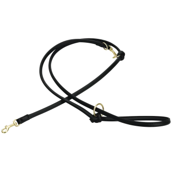 Laisse coulissante pour chien en cuir noir avec anneau en O doré et mousqueton pivotant