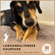 Ein Hund, der auf einem langen Kauknochen kaut, liegt auf einer weichen Oberfläche. Text lautet "LANGANHALTENDER KAUSSPASS" und "Feste Konsistenz, gesunde Zähne."