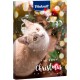 Un calendrier de l'Avent sur le thème des chats Vitakraft festif avec un chat de couleur claire, des yeux brillants, des décorations de Noël et "JOYEUX NOËL."