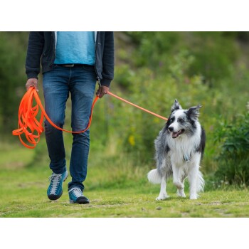Nahaufnahme des Rückens eines schwarzen Hundes mit einem orangefarbenen Geschirr und einer Leine, die den stabilen Clip und die Schnallendetails zeigt.