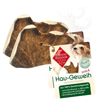 natürliches Damhirsch Kaugeweih 2xL, 2x