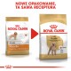 Obraz porównujący dwie torby karmy dla psów Royal Canin Poodle, podkreślający nowe opakowanie z napisem 'NOWE OPAKOWANIE, TA SAMA RECEPTURA.'