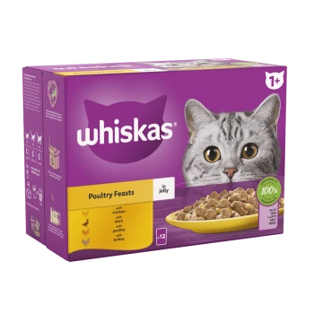 Whiskas cat food box featuring a gray cat's face, labeled "Poultry Feasts in jelly" with flavors: chicken, duck, poultry, turkey.