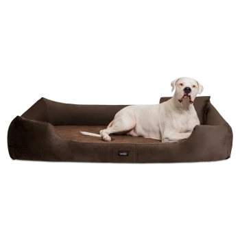 VINCENT High-Tech-Velours (Triton) und Cord - Orthopädisches Hundebett braun 90 cm, 22 cm, 75 cm Ein weißer Hund entspannt sich auf einem plüschigen braunen Haustierbett mit erhöhten Kanten, das Komfort und Stil zeigt.