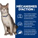 Gros plan sur un chat en bonne santé avec un collier bleu à côté d'un texte sur les bienfaits nutritionnels pour la santé des reins, incluant des Omega-3 et des minéraux contrôlés.