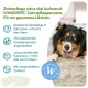 Hund kaut einen WHIMZEES-Zahnpflegesnack; sichtbare deutsche Überschrift: „Zahnpflege ohne viel Aufwand: WHIMZEES Zahnpflegesnacks für ein gesundes Lächeln“.