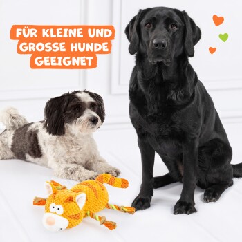 Zwei Hunde, ein schwarzer Labrador und ein kleiner weiß-brauner Hund, sitzen neben einem bunten katzenförmigen Spielzeug. Der Text lautet "Für kleine und große Hunde geeignet."