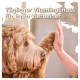 Een fluffy bruine hond die een high five geeft aan een persoon, met de tekst 'Täglicher Vitamingenuss für Ihren Vierbeiner' erboven.