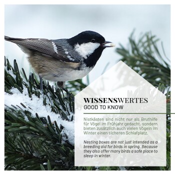 Ein kleiner Vogel sitzt auf einem schneebedeckten Kiefernbereich, mit Textüberlagerung auf Deutsch und Englisch über Nistkästen für Vögel.