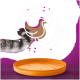 De gestreepte staart van een kat reikt naar een oranje huisdierenvoer kom op een paarse achtergrond, met tekst die zegt "mit Geflügel x12."