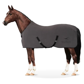 Ein braunes Pferd mit einer grauen Pferde-Decke mit schwarzen Riemen, mit dem Logo "EQUINATE" an der Seite.