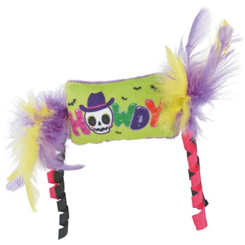 Green plush pet toy with purple and yellow feathers, pink/black ribbons, and 'HOWDY' text featuring a skull in a hat.