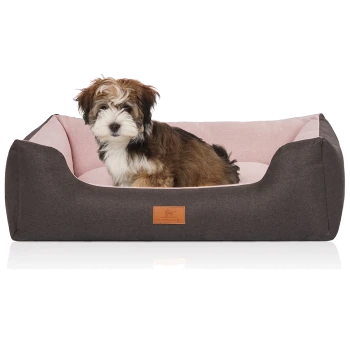 Welpe mit braun-weißem Fell sitzt in einem grau-pinken Hundebett mit Lederetikett mit der Aufschrift „KNUFFELWUFF“.