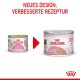 Bild von zwei Royal Canin Mother & Babycat-Dosen mit neuem Design und verbesserter Rezeptur, beschriftet mit "NEUES DESIGN, VERBESSERTE REZEPTUR."