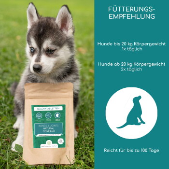 Ein Tierarzt in einem weißen Kittel untersucht einen braunen Hund in einer Klinik mit dem Text: "Vom Tierarzt entwickelt," "Im Labor getestet," "Keine Gentechnik."