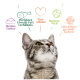Nahaufnahme einer grauen getigerten Katze, die nach oben schaut, umgeben von Textblasen über Futter, Proteinbalance, Tierschutz und glückliche Katzen.