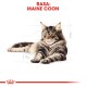 Ilustracja kota rasy Maine Coon z zielonymi oczami, wygodnie leżącego, z napisem "RASA: MAINE COON" na górze.
