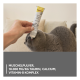 Fütterung einer grauen Katze mit GimCat Taurin-Paste aus der Tube; sichtbares Etikett und deutscher Banner 'Muschelpulver, 18.000 mg/kg Taurin'.