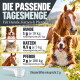 Ein verspieltes kastanienbraunes Pferd bäumt sich in einem üppigen grünen Feld auf und zeigt seinen muskulösen Körperbau und die fließende Mähne.