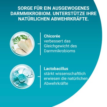 Bild zur Förderung der Haustiergesundheit: "Unterstützen Sie ein ausgewogenes Mikrobiom im Darm und natürliche Abwehrkräfte." Hebt die Vorteile von Chicorée und Lactobacillus hervor.