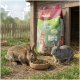 Ein brauner Hase steht neben einem Sack PANTO-Kaninchenfutter, das Bilder von Kaninchen und Text über hohe Akzeptanz und glänzendes Fell zeigt.