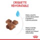 Croquettes réhydratables pour chats, avec trois morceaux de croquettes brunes, mettant en avant un texte sur la nutrition idéale pour les chats enceintes et allaitantes.