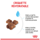 Croquettes réhydratables pour chats, avec trois morceaux de croquettes brunes, mettant en avant un texte sur la nutrition idéale pour les chats enceintes et allaitantes.