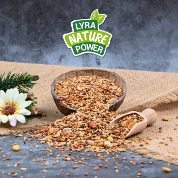 Eine Holzschüssel mit bunten Samen und Nüssen, einige auf Jute verschüttet, mit einer Schaufel daneben und dem Logo "LYRA NATURE POWER" darüber.