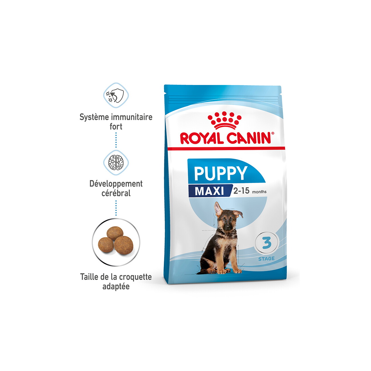 Royal Canin perro maxi puppy, 4 kg