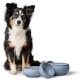 Ein schwarz-brauner Hund sitzt neben drei blauen Keramikschalen unterschiedlicher Größe und zeigt ein modernes Futtersetup für Haustiere.