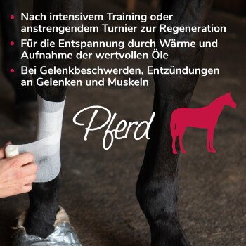 Pferdebein wird mit Verband eingewickelt, Text auf Deutsch über Erholung und Gelenkpflege nach Training oder Turnieren.