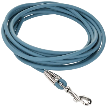 Laisse pour chien en caoutchouc bleu avec mousqueton en métal argenté et marque "Anione" sur le mousqueton.